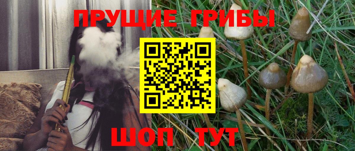 Ивантеевка  Псилоцибиновые грибы Psilocybine cubensis  Псилоцибиновые грибы Cubensis  Вход с VPN 
